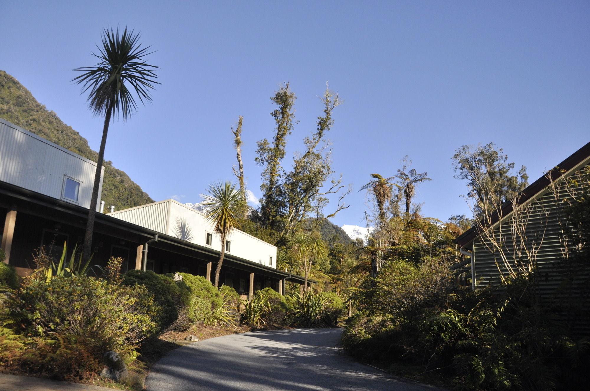Punga Grove Motel Franz Josef Ngoại thất bức ảnh